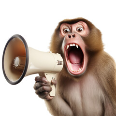 Funny monkey is holding and screaming into a loudspeaker. Business and management concept, isolated on transparent background, PNG file
