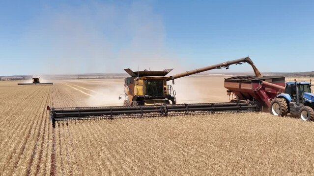 This footage captures the synergy of modern agricultural technology, showcasing the essential role of header fronts in the wheat harvesting process