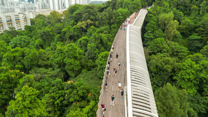 Aerial view of Henderson Waves Bridge in Singapore