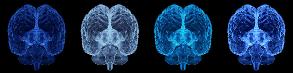 Human Brain X-Ray: Anatomy, Medicine and Science concept
