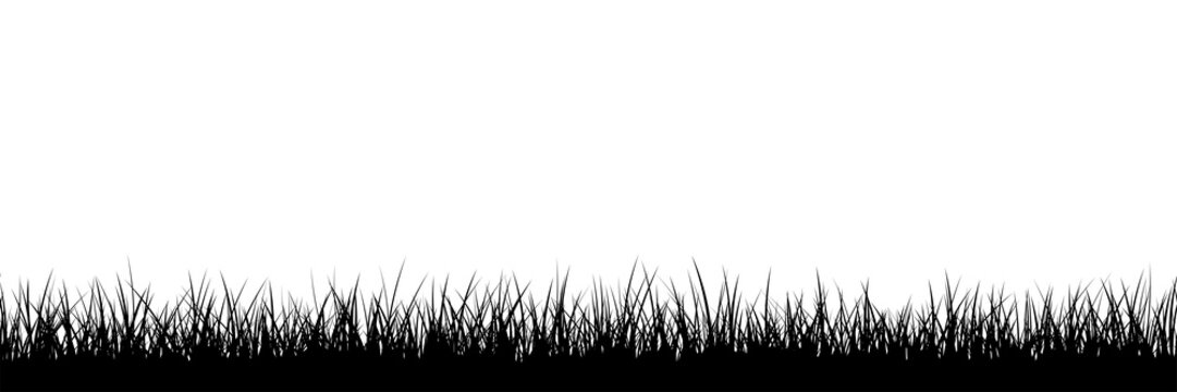 Wide black border silhouette grass seamless texture Isolated PNG
