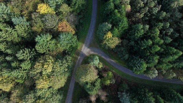 Top shot of hiker walks on jogging track in the urban forest of Rapperswil-Jona in northeastern Switzerland_autumn season