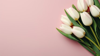 a Mother's Day concept with a bouquet of white and pink tulips on an isolated light background. Ensure there is ample copy space, and the composition follows a minimalist and modern style.