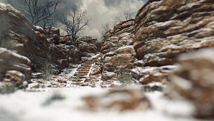 Snowy canyon with a stairway and bare trees under a cloudy sky.