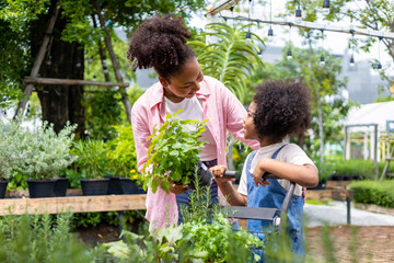 African mother and daughter is choosing vegetable and herb plant from the local garden center...