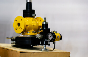Gas pressure regulator on a gas valve.