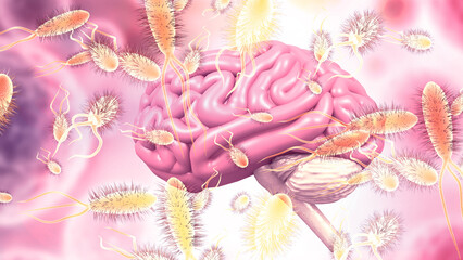 Human brain with virus bacteria. 3d illustration..