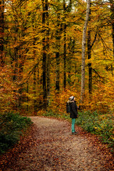 Woman walking in an autumn beech forest, in Selva de Irati