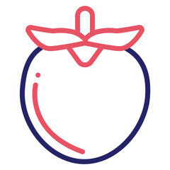 Persimmon Icon