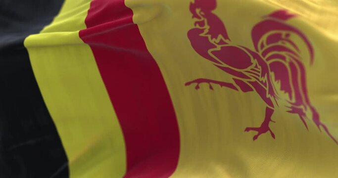Belgium and Valonia flag waving. Loop