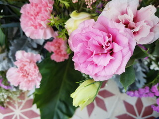 Fototapeta premium pink hydrangea flowers