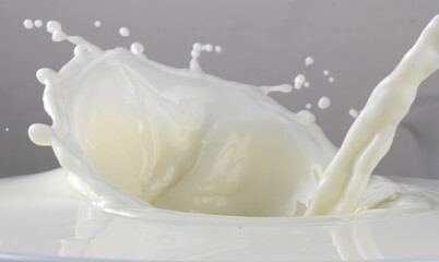 Milchsplash von rechts, Splash, Milchstrahl, close up, milch,