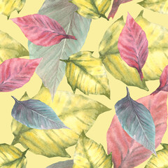 Foliage seamless pattern with colorful leaves of red, yellow and green poinsettia plant Watercolor hand draw illustration. Isolated coloured background, wallpaper, wrapping paper, textile cover prints