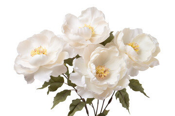 Silk Flowers with White BloomBlend on a transparent background