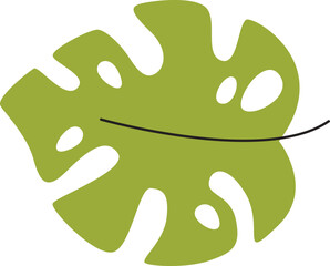 Tropical Tree Leaf
