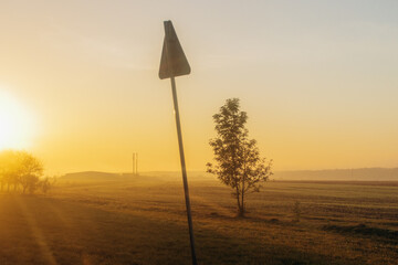 An image of a bright sunrise covering a large grass field and lonely trees. The rays of the sun...