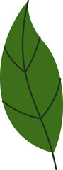 Tree Leaf Icon