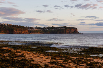 Obraz premium Beautiful morning view of Newport Beach, Sydney, Australia.
