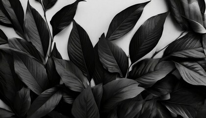 textures of abstract black leaves for tropical leaf background flat lay dark nature concept tropical leaf digital ai