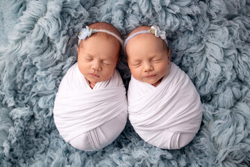 Tiny newborn twin girls in white cocoons on a blue background. A newborn twin sleeps next to his sister. Newborn twin girls in white headbands with a white and blue flowers.  - obrazy, fototapety, plakaty