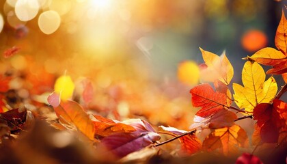Naklejka na ściany i meble autumn background fall abstract background with colorful leaves and sun flares