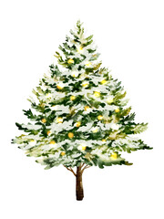 Christmas tree watercolor illustration