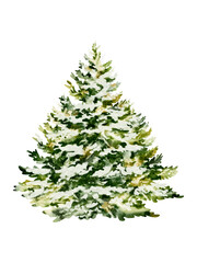 Christmas tree watercolor illustration