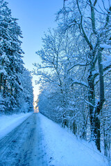 Snow-covered Country Road through the Forest in Winter