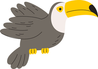 Toucan Bird Flying