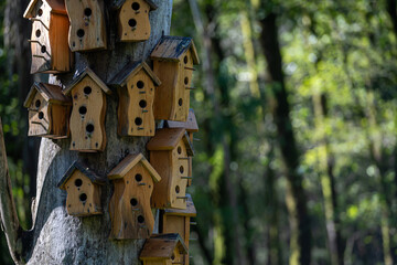 Many multi-story birdhouses on a tree in the park. Concept of urbanization and overpopulation.
