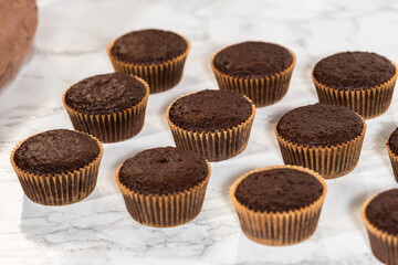 Baking Chocolate Cupcakes with Decadent Chocolate Frosting