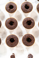 Baking Chocolate Cupcakes with Decadent Chocolate Frosting