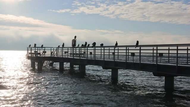 Kormorane ruhen sich auf einer kleinen Seebr&uuml;cke aus