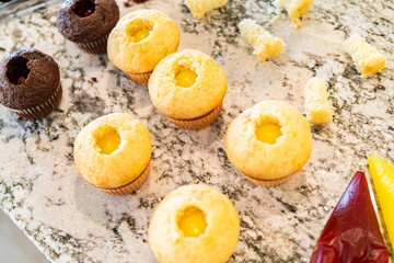 Filling Vanilla, Chocolate Cupcakes with Lemon, Raspberry