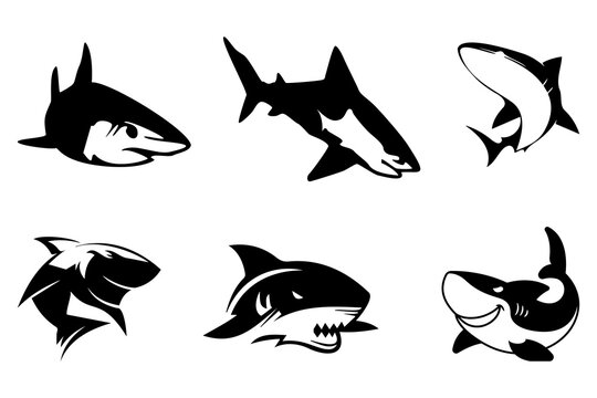 Black shark logo collection on a white background. Shark icon logo templates. Creative shark logo