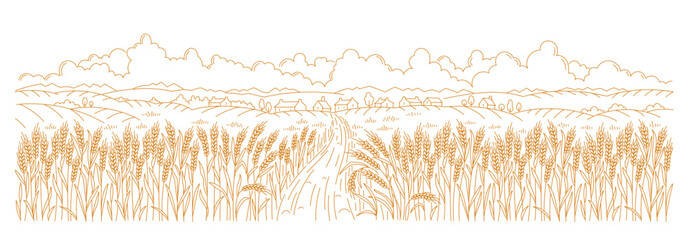 Rural landscape field with a village countryside road. Wheat spikelet in the foreground. Vector line. Editable outline stroke. © Ilia