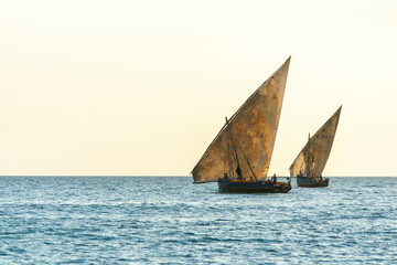 two dhows the traditional sailing vesssels of zanzibar tanzania sailing the open ocean - obrazy, fototapety, plakaty