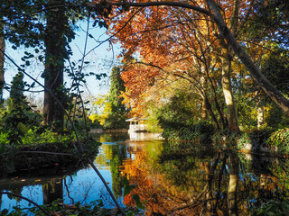 Lago en otoño con reflejos de hojas doradas