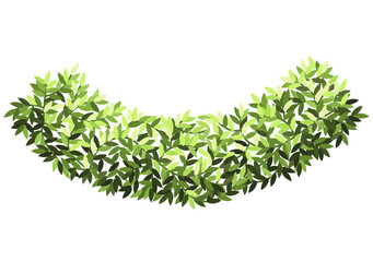 Bush for architectural floor plans. Entourage design. Top view tree for the landscape design plan. Vector illustration.