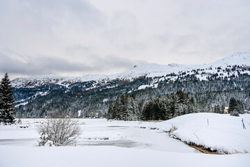 Lenzerheide, Valbella, Heidsee, Bergsee, Uferweg, Wanderweg, Winterwanderung, Langlauf, Loipe, Winterlandschaft, Seeufer, Alpen, Wald, Tannen, Eis, Winter, Graubünden, Schweiz