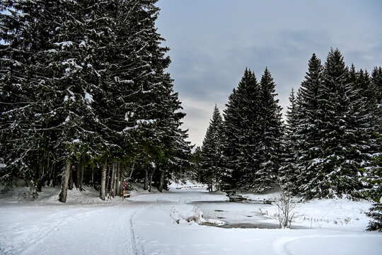 Lenzerheide, Valbella, Heidsee, Bergsee, Uferweg, Wanderweg, Winterwanderung, Winterlandschaft, Seeufer, Alpen, Winter, Graub&uuml;nden, Schweiz