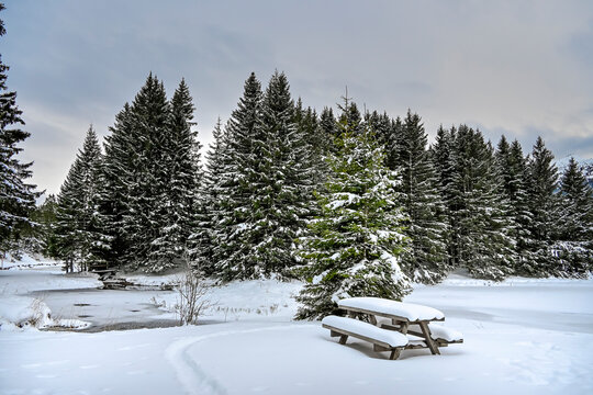 Lenzerheide, Valbella, Heidsee, Bergsee, Uferweg, Wanderweg, Winterwanderung, Winterlandschaft, Seeufer, Wald, Alpen, Winter, Graub&uuml;nden, Schweiz