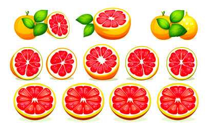 Fresh pomelo fruit drawing. Red flesh. Healthy food concept. Arrange a beautiful top view with space on a white background.