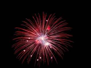 Fototapeta premium fireworks &nbsp;light up the sky Abstract colored firework background.