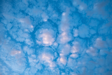 Abstract White, Blue and Purple Alto Cumulus Clouds in the Sky at Dusk