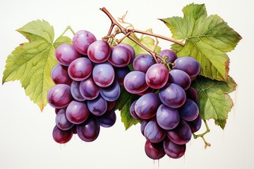 Watercolor grapes isolated on white. AI Generated