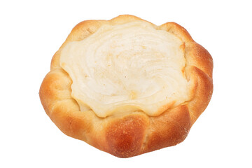 homemade cheesecake with cottage cheese, isolated background on a white background