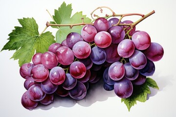 Fototapeta premium Watercolor grapes isolated on white. AI Generated