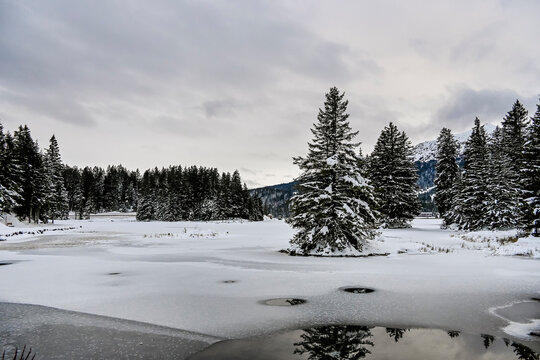 Lenzerheide, Valbella, Heidsee, Bergsee, Uferweg, Wanderweg, Winterwanderung, Langlauf, Loipe, Winterlandschaft, Seeufer, Alpen, Wald, Tannen, Eis, Winter, Graub&uuml;nden, Schweiz