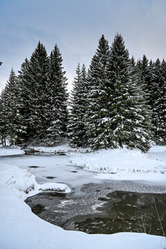 Lenzerheide, Valbella, Heidsee, Bergsee, Uferweg, Wanderweg, Winterwanderung, Winterlandschaft, Seeufer, Alpen, Wald, Tannen, Eis, Winter, Graub&uuml;nden, Schweiz
